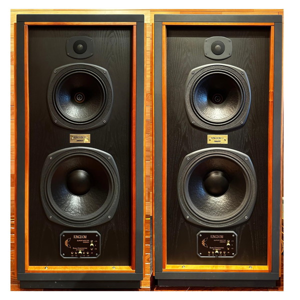 TANNOY KINGOM 12