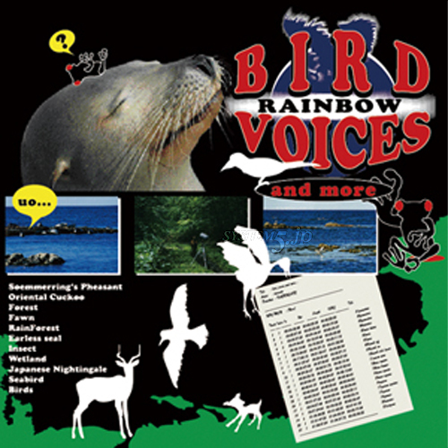 iڍ F RAINBOW(CD) BIRD VOICES