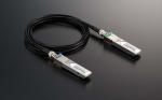iڍ F y\tIzTOP WING/SFPW[/Silent Fidelity SFP (yA) tP[uF3m