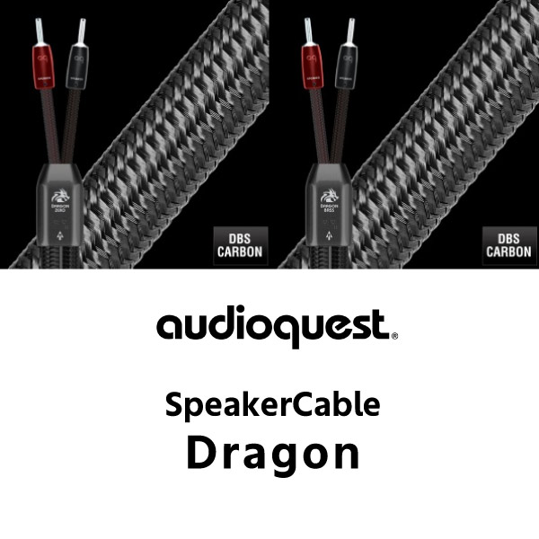audioquest_dragon