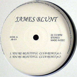 JAMES BLUNT(12) YOU'RE BEAUTIFUL -DJ機材アナログレコード専門店 