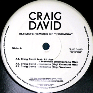 CRAIG DAVID(12) ULTIMATE REMIXES OF INSOMNIA -DJ機材アナログ
