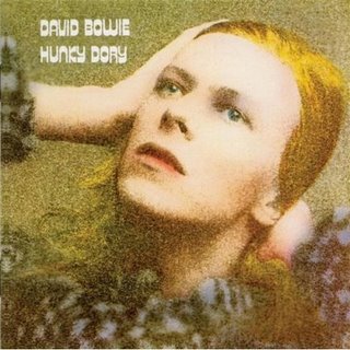 DAVID BOWIE (デヴィッド・ボウイ) (LP 180g重量盤) タイトル名：HUNKY