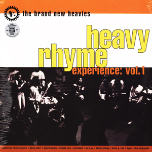 THE BRAND NEW HEAVIES (ブランニュー・ヘヴィーズ) (LP 180g重量盤