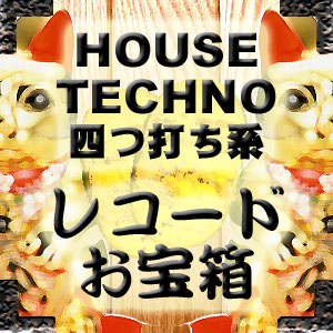 TECHNO、HOUSE【数量限定！！お宝箱５枚セット】 -DJ機材