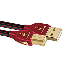 iڍ F audioquest/USBP[u/USB Cinnamon 2