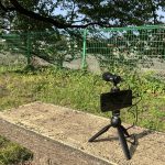 フィールドレコーディングにはこのマイクがオススメ！SHURE/MV88+DIGVIDKITが超優秀！