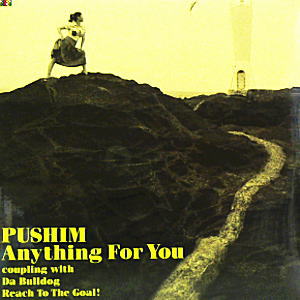 PUSHIM(10) ANYTHING FOR YOU -DJ機材アナログレコード専門店OTAIRECORD