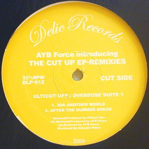 商品詳細 ： AYB FORCE INTRODUCING THE CUT UP EP M.HISATAAKAA(12) DON'T BREAK MY SPECS