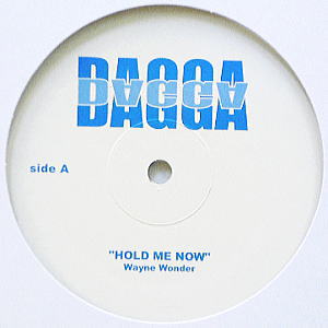 iڍ F WAYNE WONDER / SIZZLA(12) HOLD ME HOW / AIN'T GOT YOU REMIX