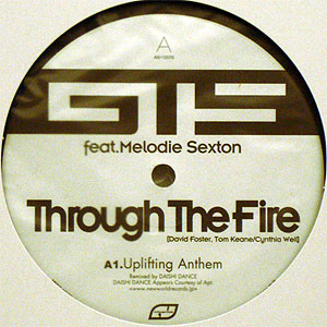 GTS(12) THROUGH THE FIRE (2007 REMIX) -DJ機材アナログレコード専門