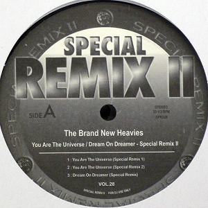 iڍ F BRAND NEW HEAVIES(12) YOU ARE THE UNIVERSE / DREAM ON DREAMER (SPECIAL REMIX II)