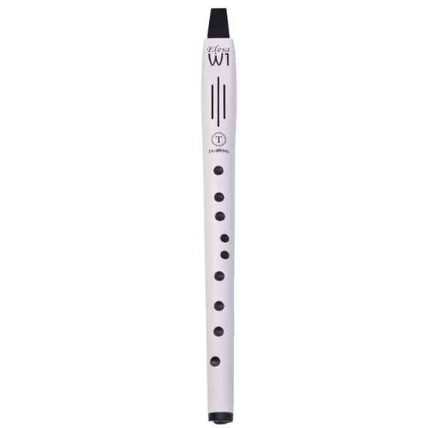 Elesa-W1