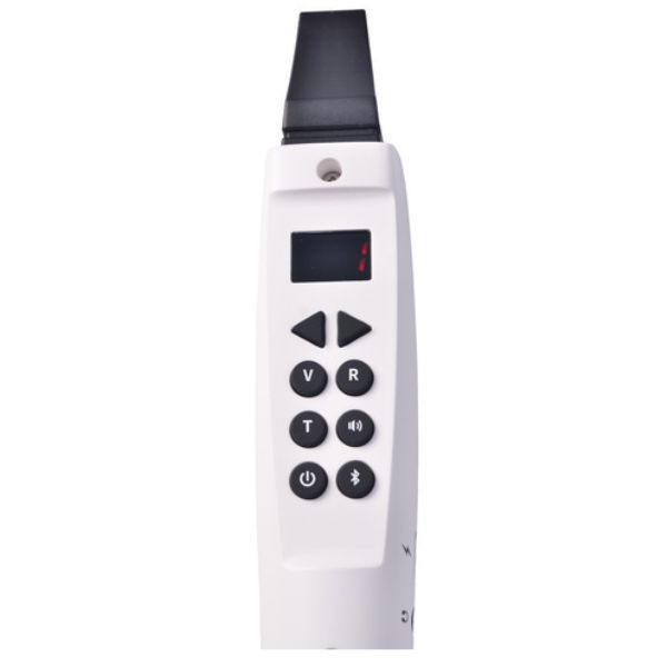 Elesa-W1
